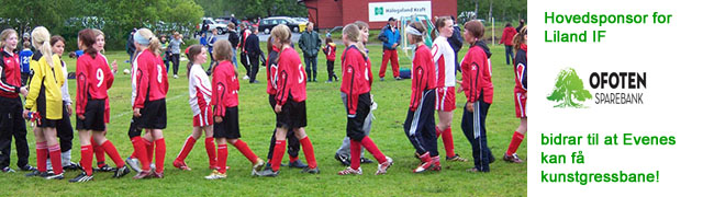 Dugnad for kunstgress