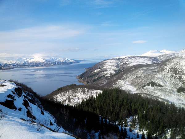 Utsikt Ofotfjorden
